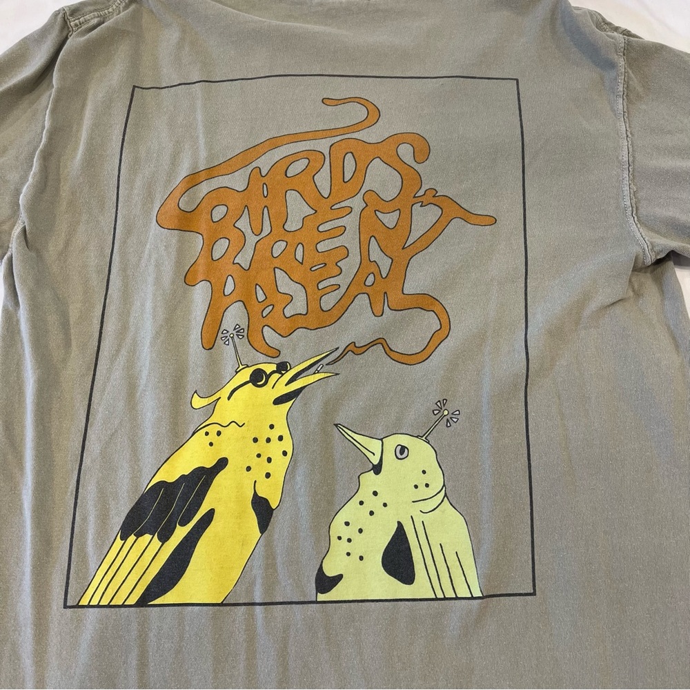 Birds aren’t real t-shirt